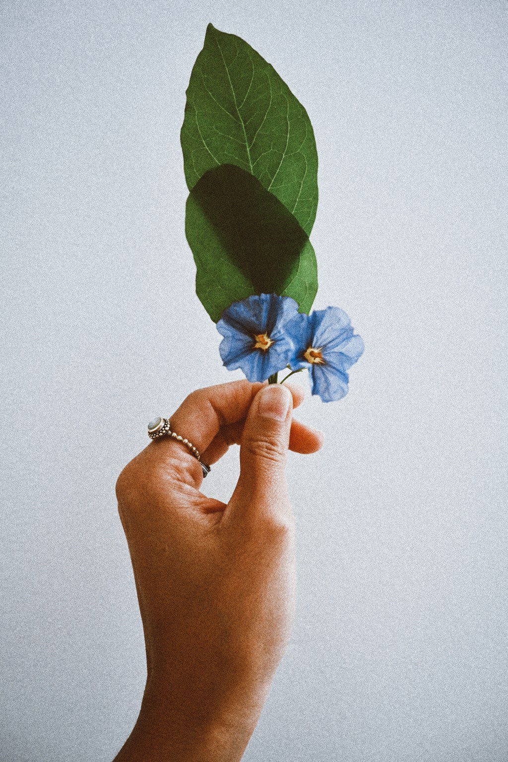 ⋒ Cultiver sa vulnérabilité&nbsp;⋒