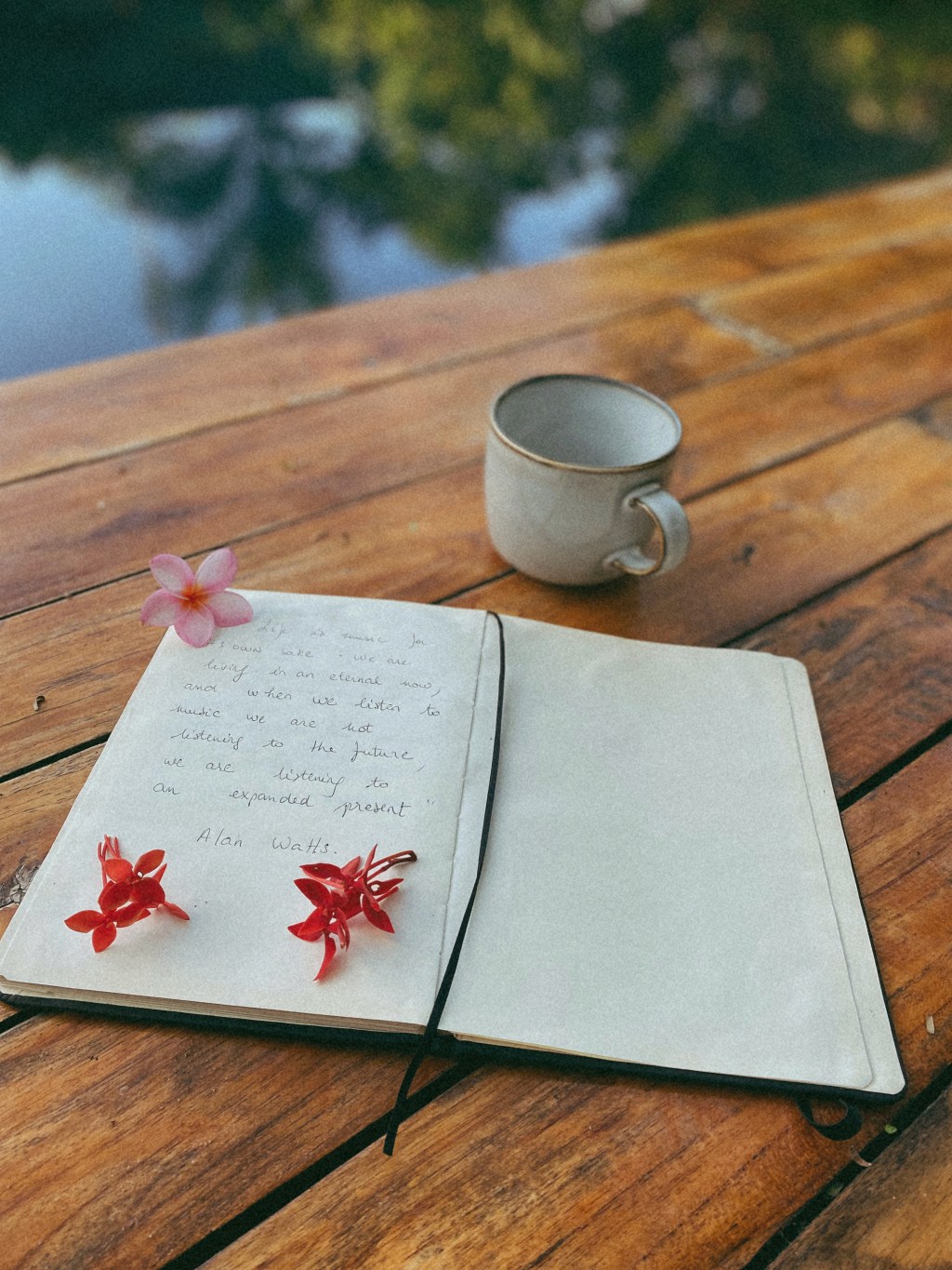 La force des&nbsp;mots