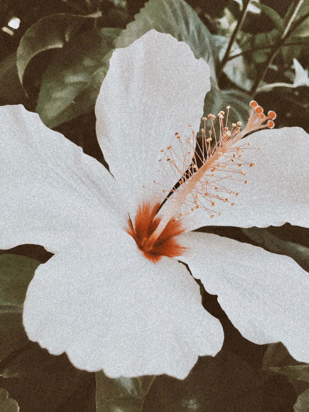 La poésie, un bien nécessaire&nbsp;…