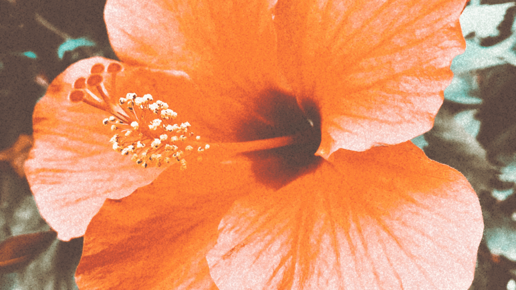 La nature est tienne, fais-en ton sanctuaire…